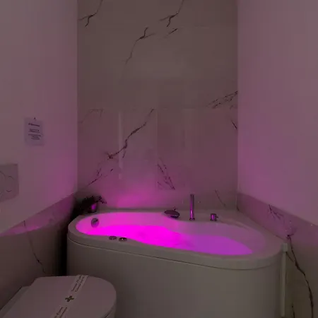 公寓 Elegante Presso Vaticano