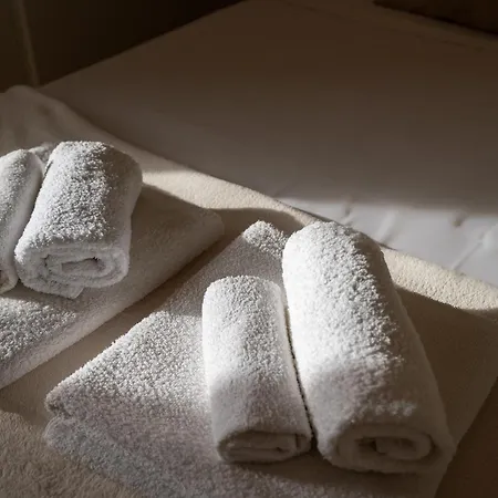 Elegante Presso Vaticano 公寓 *